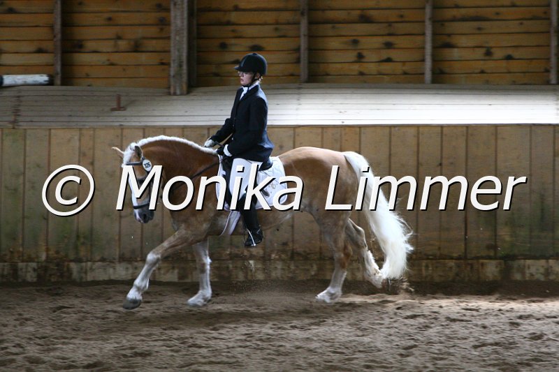 006M4863_Dressur A.JPG